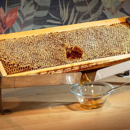 Western De La Regate-erdre 4*