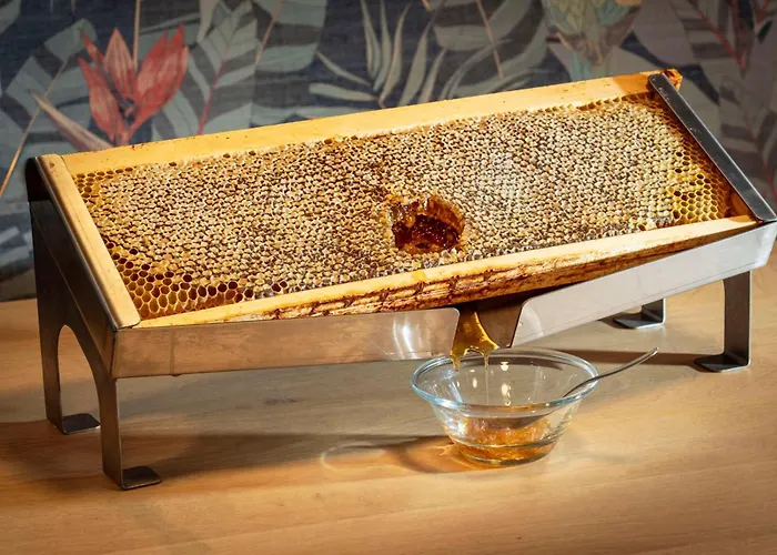 Western De La Regate-erdre 4*